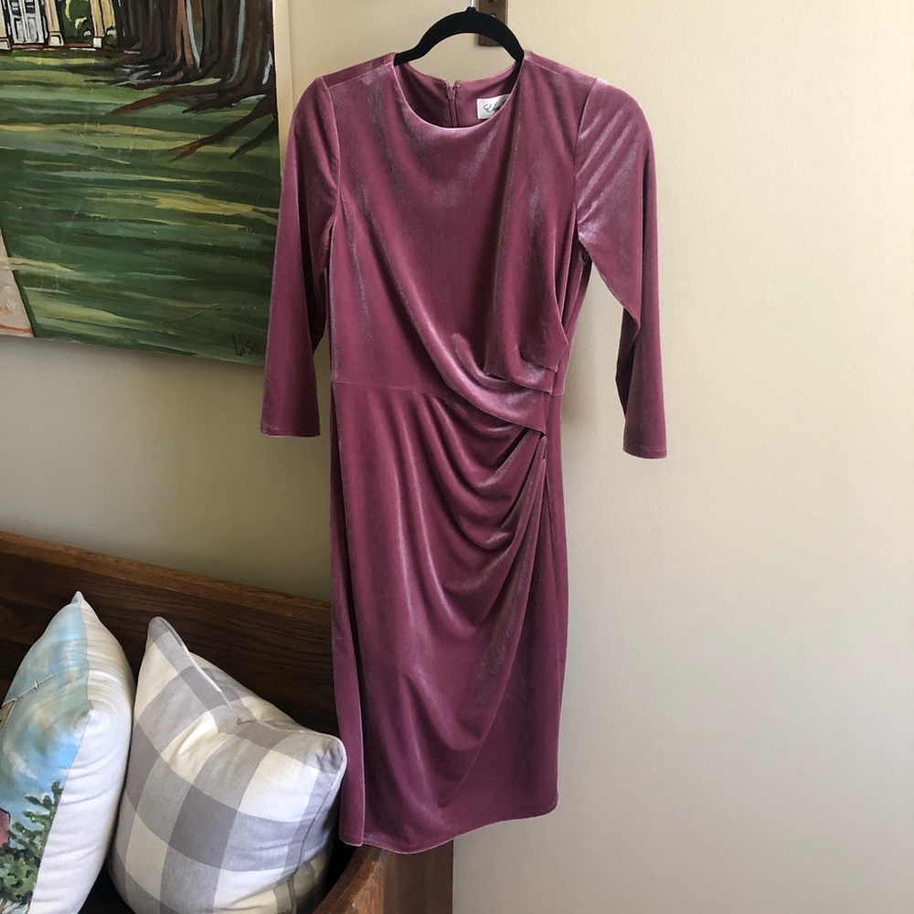 Eliza J size 4 velvet dress